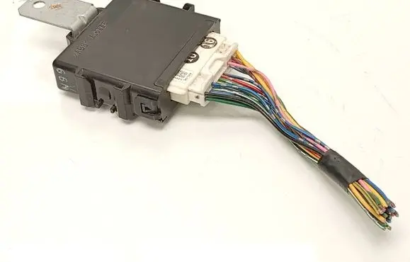 Suzuki Grand Vitara II Other control units/modules 3862065J00