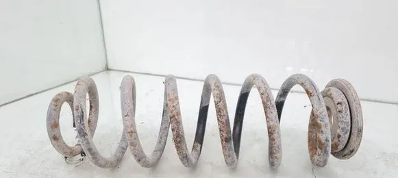 Rear coil spring