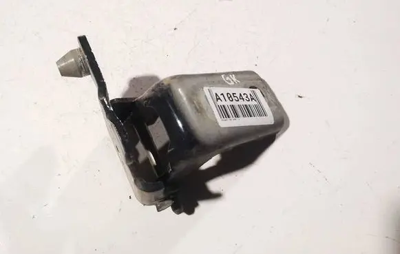 Peugeot 308 Rear door lower hinge