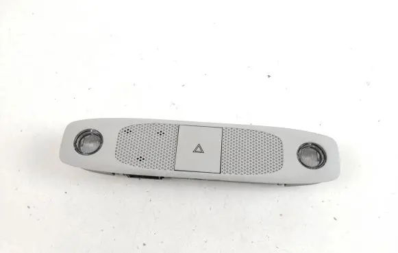 Tesla Model 3 Front seat light 109257300L