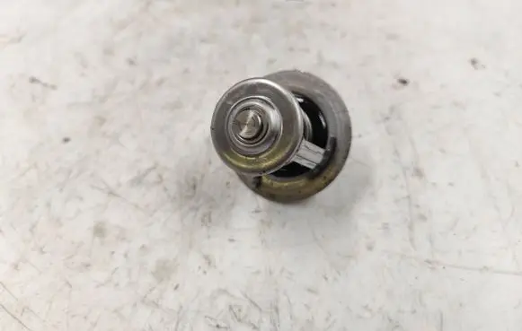 KIA Carnival Thermostat 
