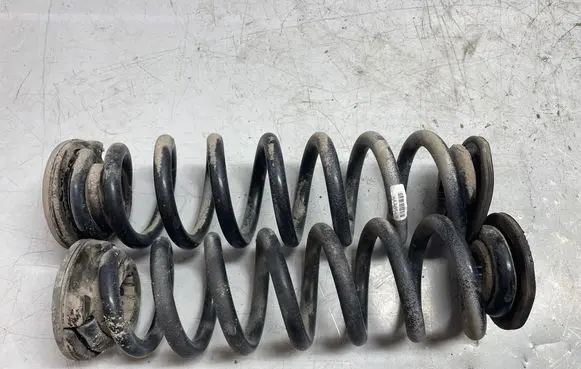 Opel Insignia B Rear coil spring 