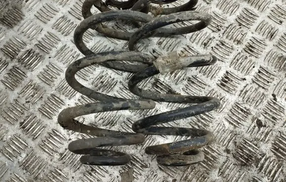 Ford C-MAX II Rear coil spring