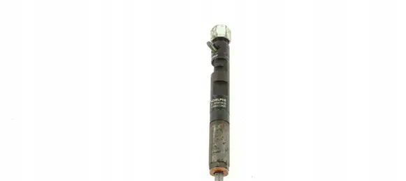 Renault Kangoo I Fuel injector EJBR05102D