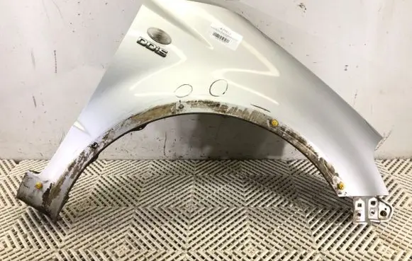 Fender