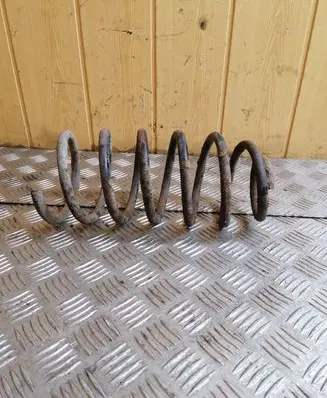 Volkswagen New Beetle Front coil spring
