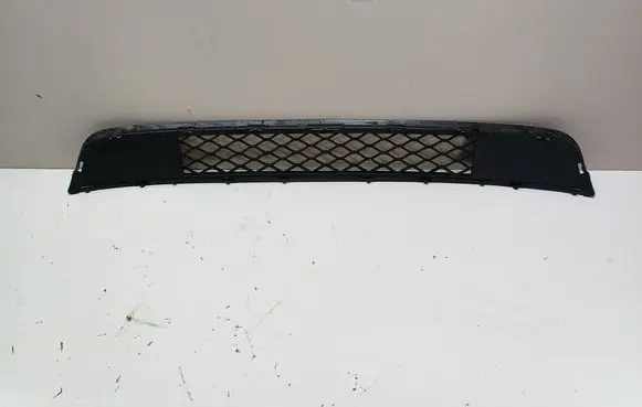 BMW X3 F25 Front bumper lower grill 7210465 10503411