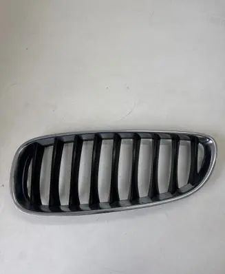 BMW Z4 E89 Front grill 10627110 L40502054