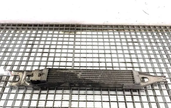 Mercedes-Benz R W251 Engine oil radiator A1645002000