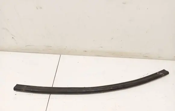 BMW X6 E71 Rubber seal front coupe door 