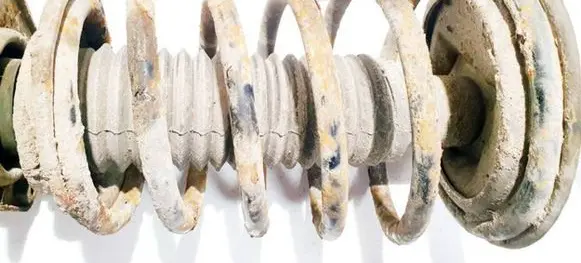 Front coil spring