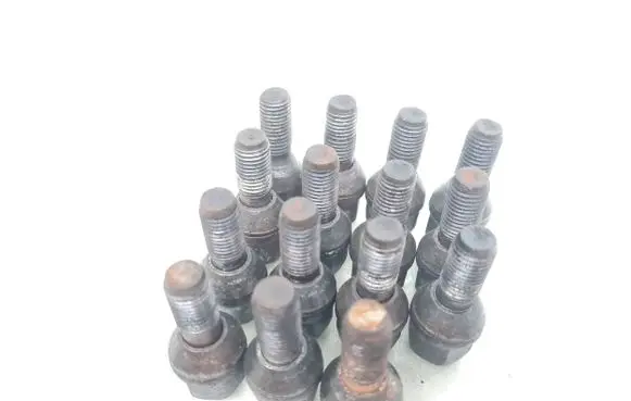 Renault Laguna II Nuts/bolts 
