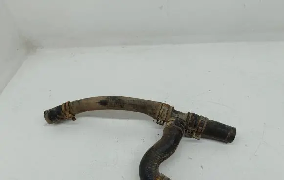 Volkswagen Sharan Engine coolant pipe/hose 738000248