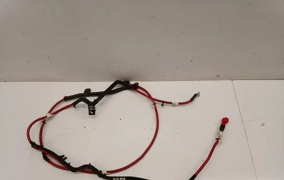 Mini Cooper Countryman F60 Other wiring loom 6803328