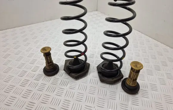 Renault Megane IV Rear coil spring 552400003R