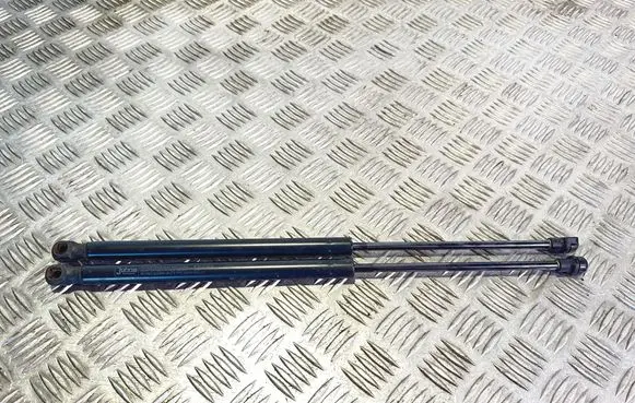 Tailgate/trunk strut/damper
