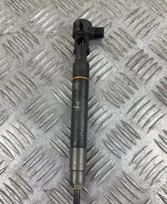SsangYong Rexton Fuel injector 28579431