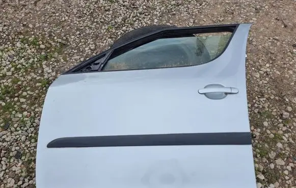 Skoda Roomster (5J) Front door
