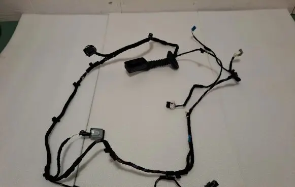 Mini Cooper Countryman F60 Front door wiring loom