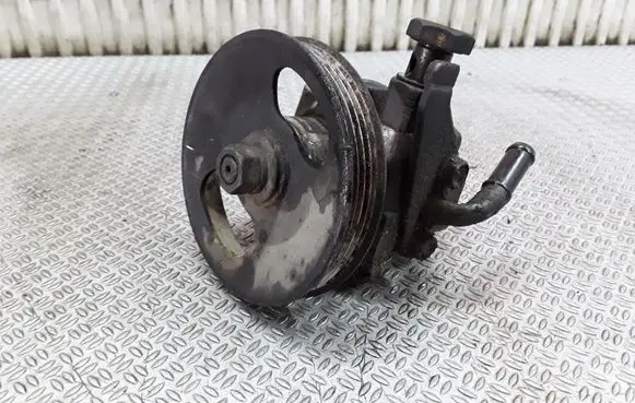 Hyundai Terracan Power steering pump