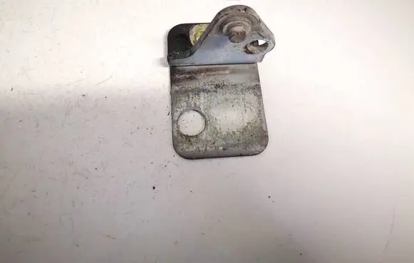 Audi A4 S4 B6 8E 8H Rear door lower hinge