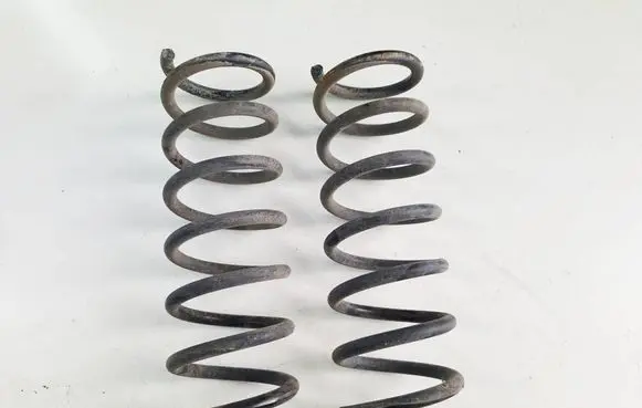 Rear coil spring