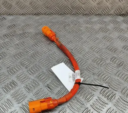 Audi E-tron GT Other wiring loom 9J1971061A