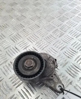 Skoda Octavia Mk3 (5E) Generator/alternator belt tensioner