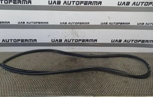 KIA Rio Rear door rubber seal (on body) 