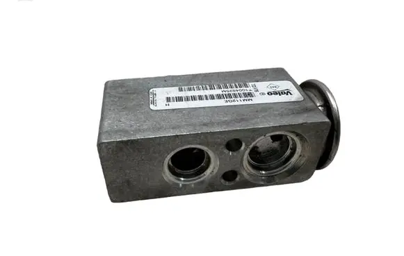 Renault Megane III Air conditioning (A/C) expansion valve T1003362DA HFC134A 52387090