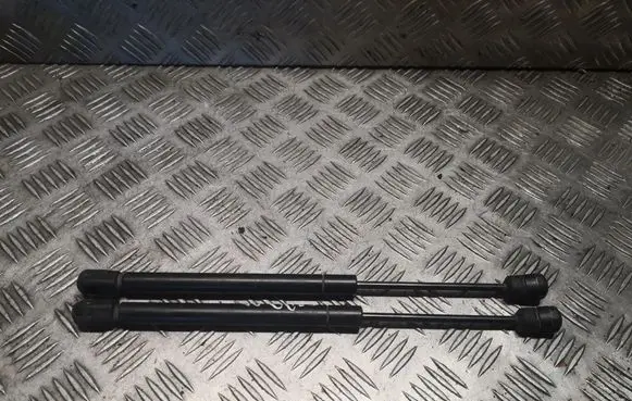 Chrysler 300 - 300C Front bonnet/hood damper/strut 04589606AA