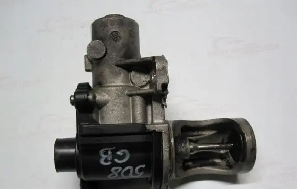 Skoda Superb B5 (3U) EGR valve 038131501BF