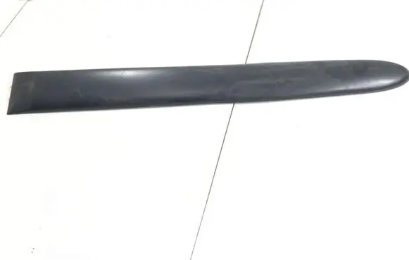 Front door trim (molding)