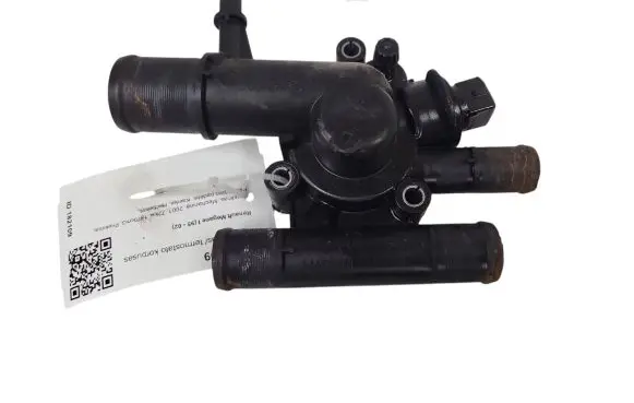 Thermostat/thermostat housing