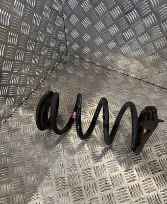 Tesla Model 3 Rear coil spring 104447201E CZH212100030530