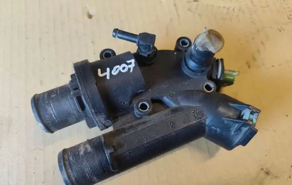 Thermostat/thermostat housing