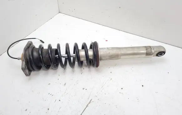 Rear shock absorber/damper