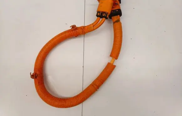 Hyundai Ioniq 5 Other wiring loom