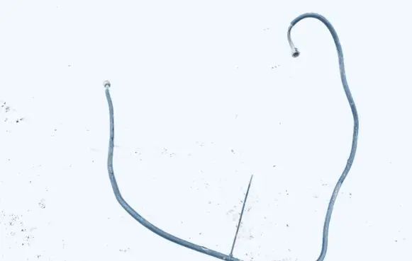 Audi A6 S6 C5 4B Power steering hose/pipe/line