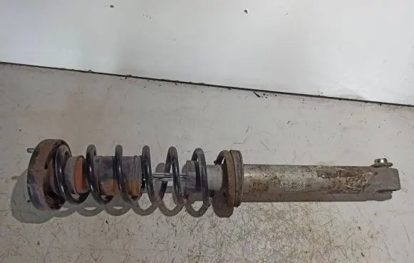 BMW 5 E39 Rear shock absorber with coil spring 1091922 814903557170