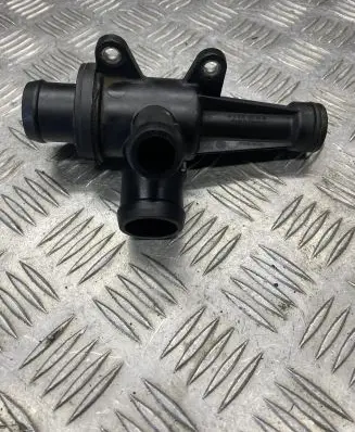 Thermostat/thermostat housing