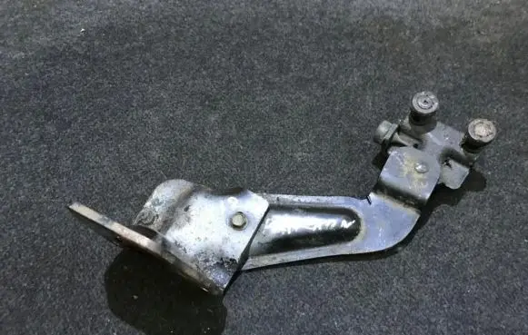 KIA Carnival Rear door lower hinge