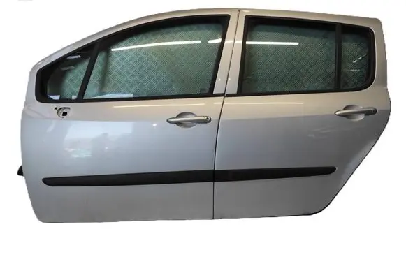 Renault Modus Front door