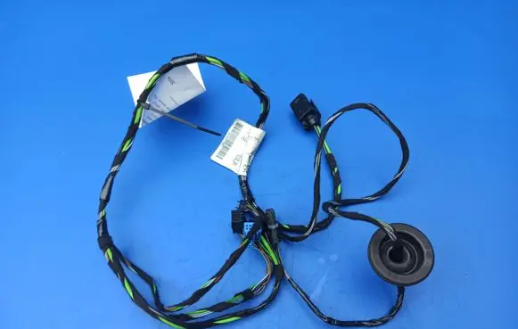 Mercedes-Benz B W245 Front door wiring loom A1695407505 982659100