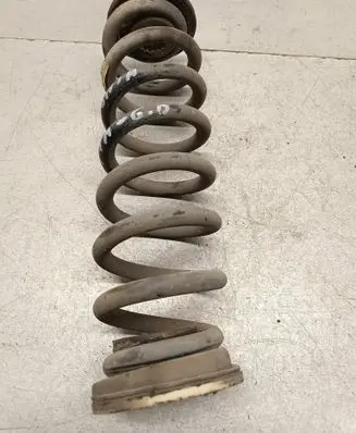 Rear coil spring