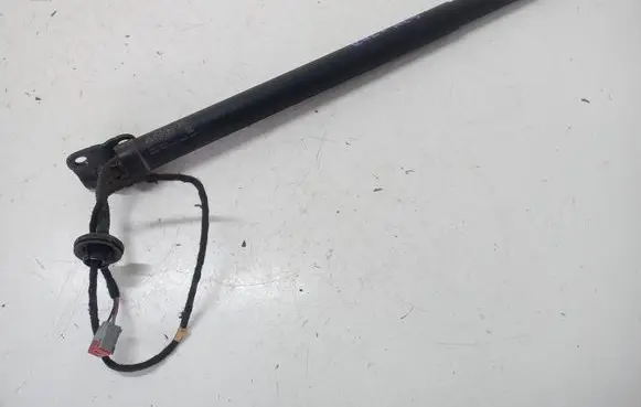Ford Kuga III Tailgate strut LV4BS402A55AD
