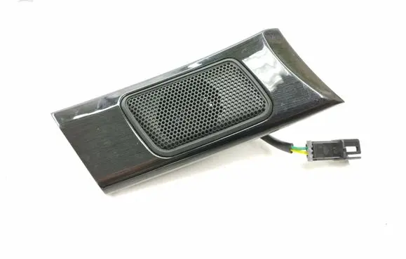 Front door high frequency speaker