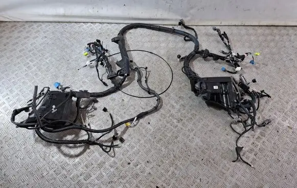Lexus NX Engine installation wiring loom 8211278010 8266278080