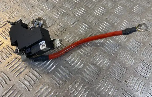 Mercedes-Benz A W176 Positive wiring loom A2469067901