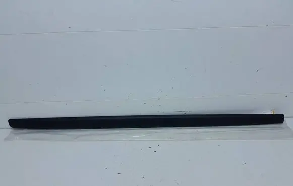Renault Twingo II Front door trim (molding) 8200365841